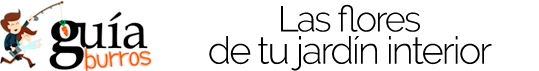 GuíaBurros Las flores de tu jardín interior